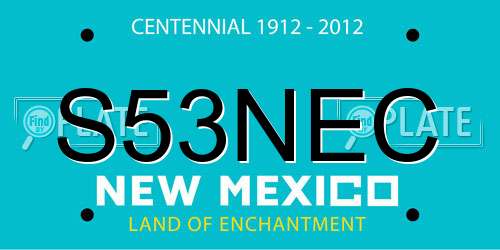 S53NEC New Mexico License Plate