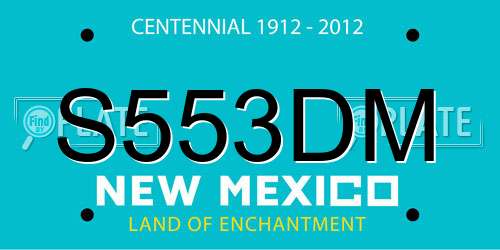 S553DM New Mexico License Plate
