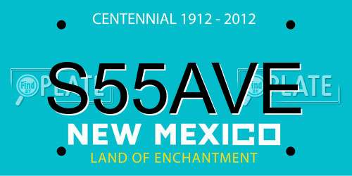 S55AVE New Mexico License Plate