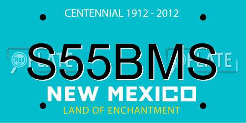 S55BMS New Mexico License Plate