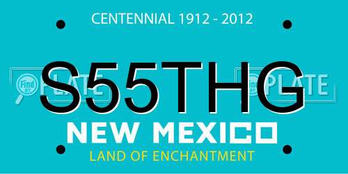 S55THG New Mexico License Plate