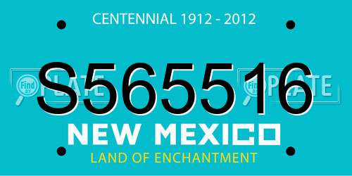 S565516 New Mexico License Plate