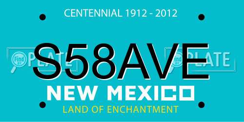 S58AVE New Mexico License Plate