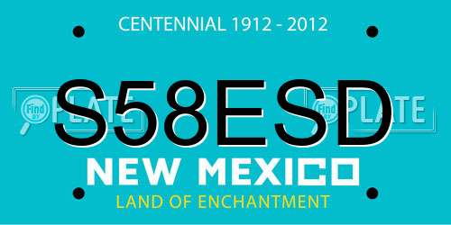 S58ESD New Mexico License Plate