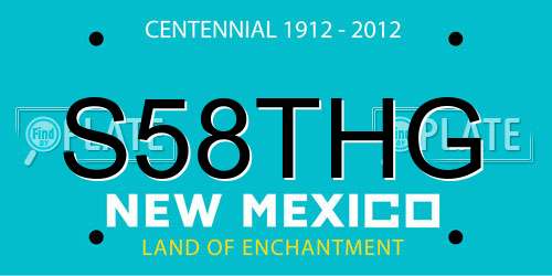 S58THG New Mexico License Plate