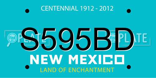 S595BD New Mexico License Plate