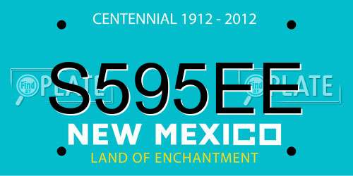 S595EE New Mexico License Plate