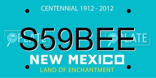 S59BEE New Mexico License Plate