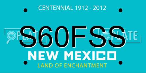 S60FSS New Mexico License Plate