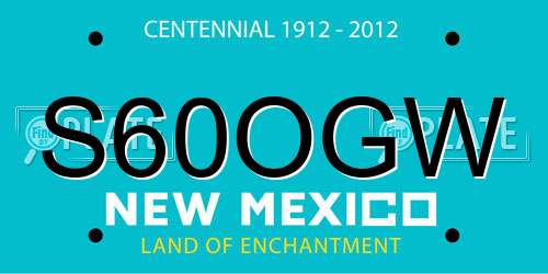S60OGW New Mexico License Plate
