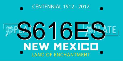S616ES New Mexico License Plate
