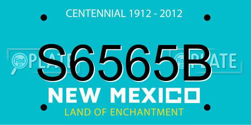 S6565B New Mexico License Plate