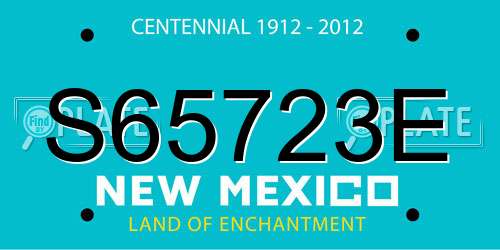 S65723E New Mexico License Plate