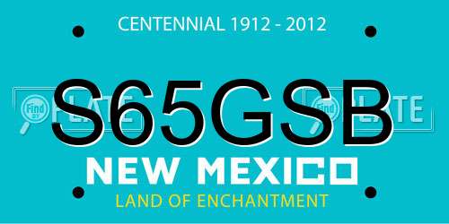 S65GSB New Mexico License Plate