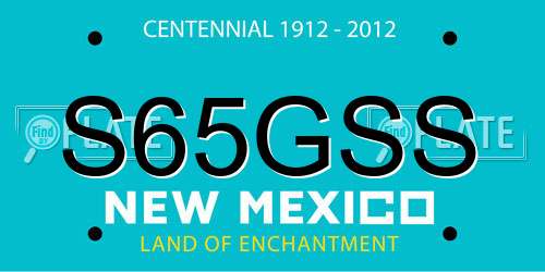 S65GSS New Mexico License Plate