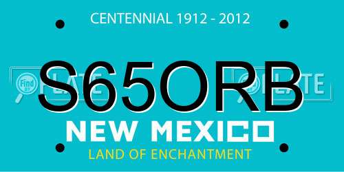 S65ORB New Mexico License Plate