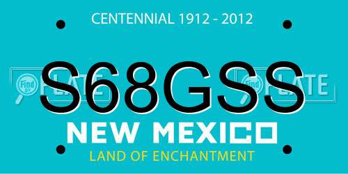 S68GSS New Mexico License Plate
