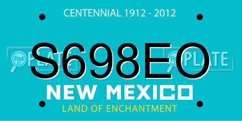 S698EO New Mexico License Plate