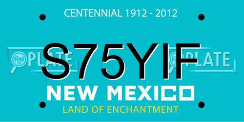 S75YIF New Mexico License Plate