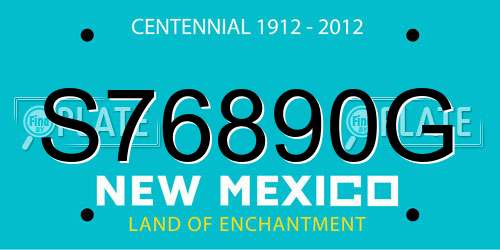 S76890G New Mexico License Plate