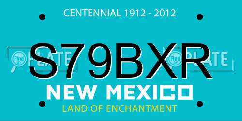 S79BXR New Mexico License Plate