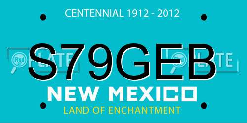 S79GEB New Mexico License Plate