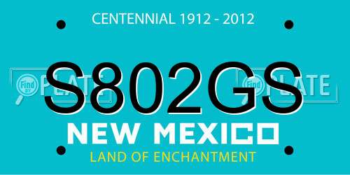 S802GS New Mexico License Plate