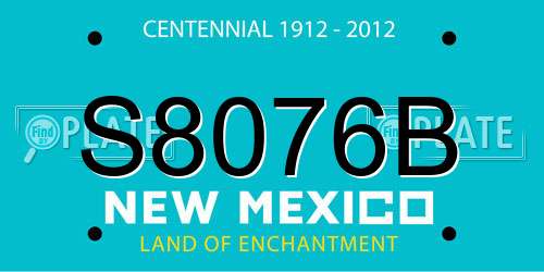S8076B New Mexico License Plate
