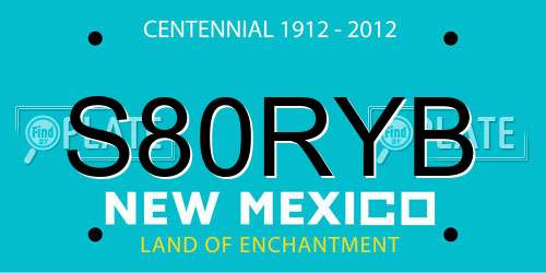 S80RYB New Mexico License Plate