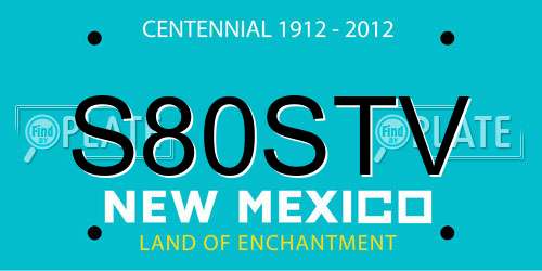 S80STV New Mexico License Plate