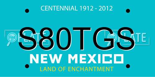 S80TGS New Mexico License Plate