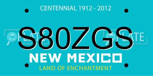 S80ZGS New Mexico License Plate
