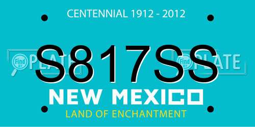 S817SS New Mexico License Plate