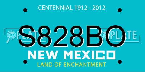 S828BO New Mexico License Plate