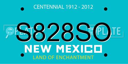 S828SO New Mexico License Plate