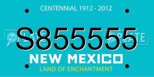 S855555 New Mexico License Plate