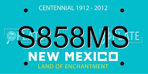 S858MS New Mexico License Plate