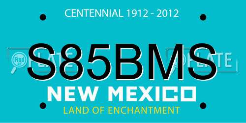 S85BMS New Mexico License Plate