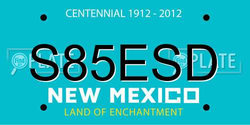 S85ESD New Mexico License Plate
