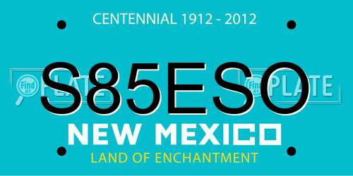 S85ESO New Mexico License Plate
