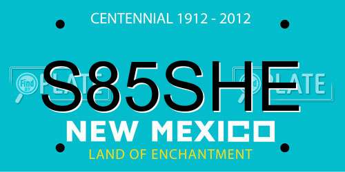 S85SHE New Mexico License Plate