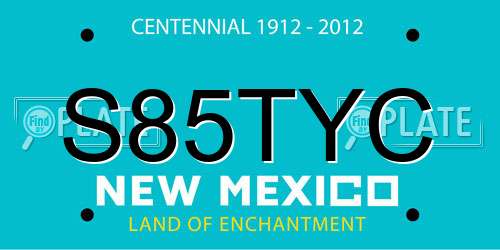 S85TYC New Mexico License Plate