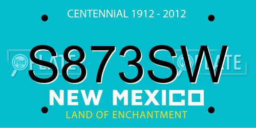 S873SW New Mexico License Plate