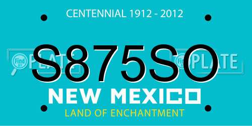 S875SO New Mexico License Plate