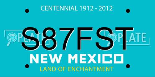 S87FST New Mexico License Plate