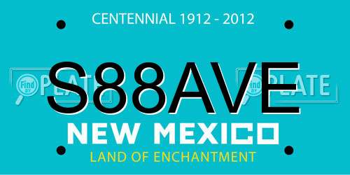 S88AVE New Mexico License Plate
