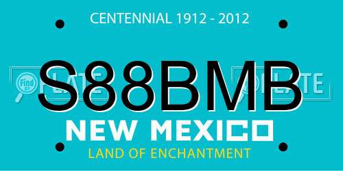 S88BMB New Mexico License Plate