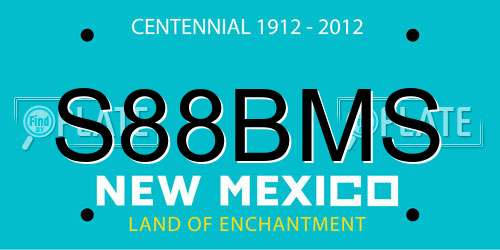 S88BMS New Mexico License Plate