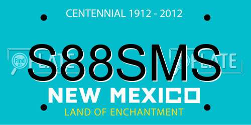 S88SMS New Mexico License Plate