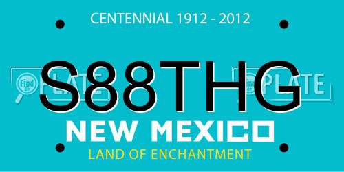 S88THG New Mexico License Plate